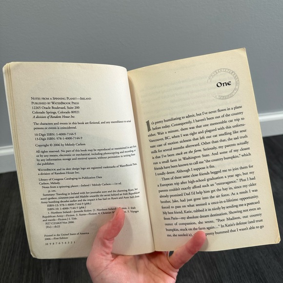 Ireland novel book - good condition - Picture 3 of 3